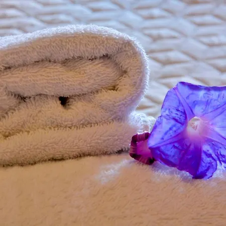 アパート Louvros Corfu シダリオン